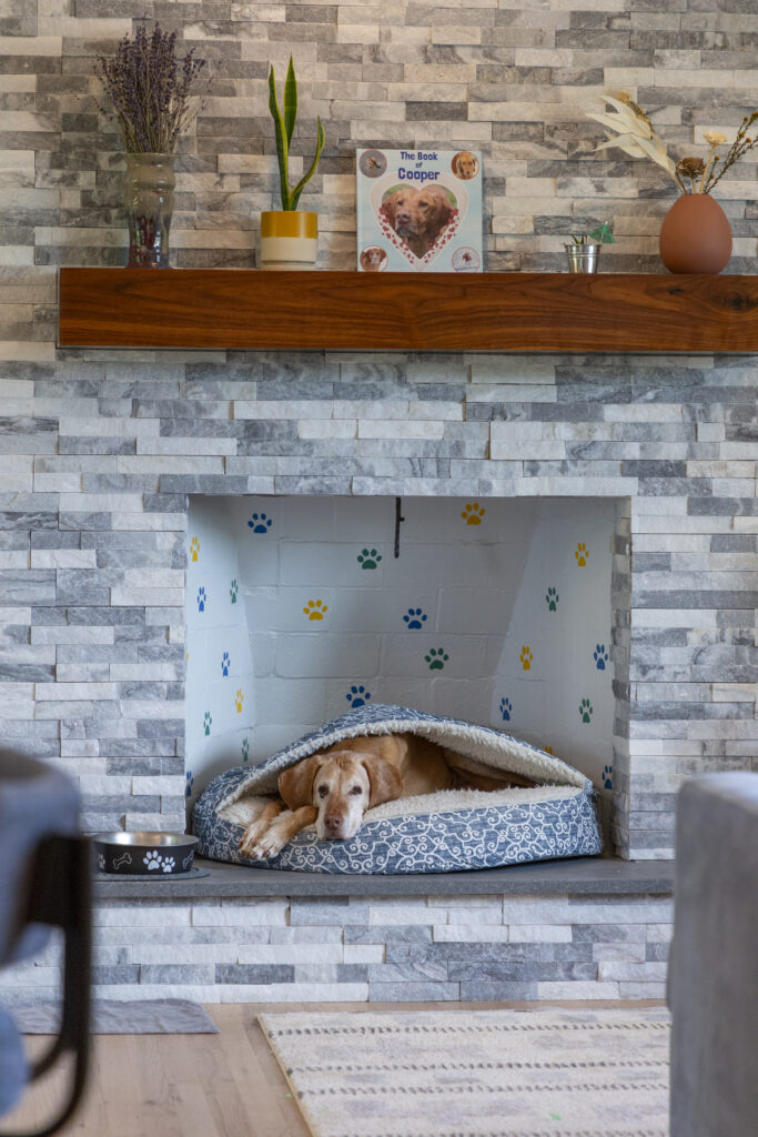 Dog resting in patterned bed inside decorated fireplace Dog resting in a blue patterned bed inside a decorated white brick fireplace with a wooden mantel above.